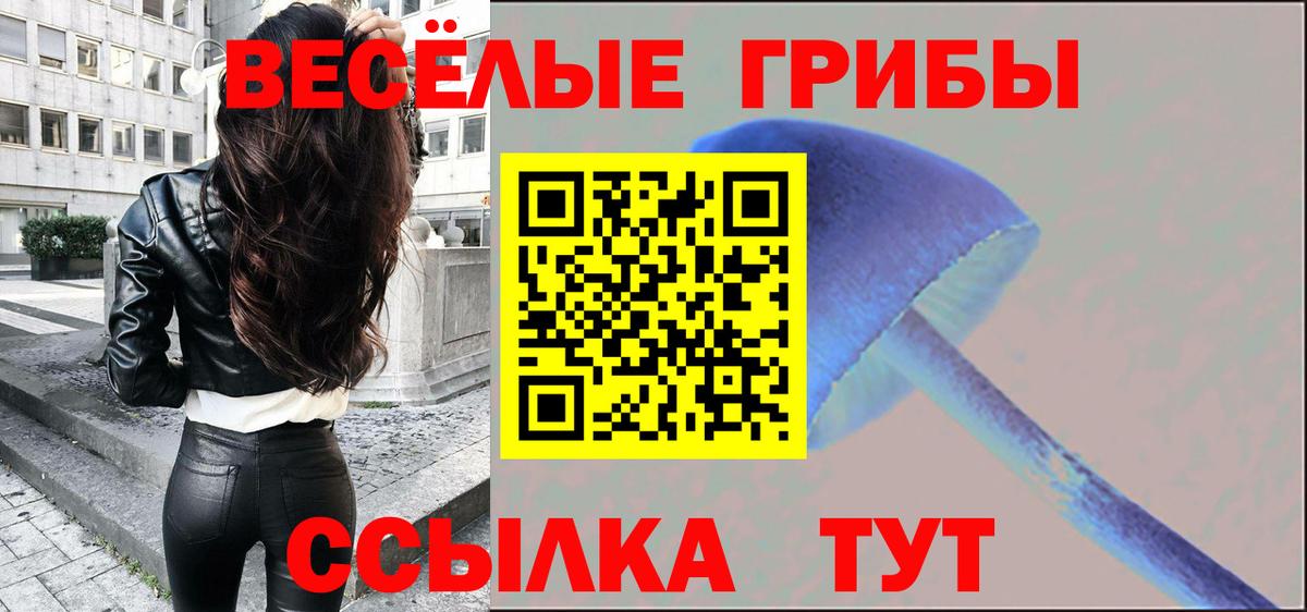 Москва  Галлюциногенные грибы прущие грибы  Вход с VPN  Псилоцибиновые грибы Psilocybine cubensis 